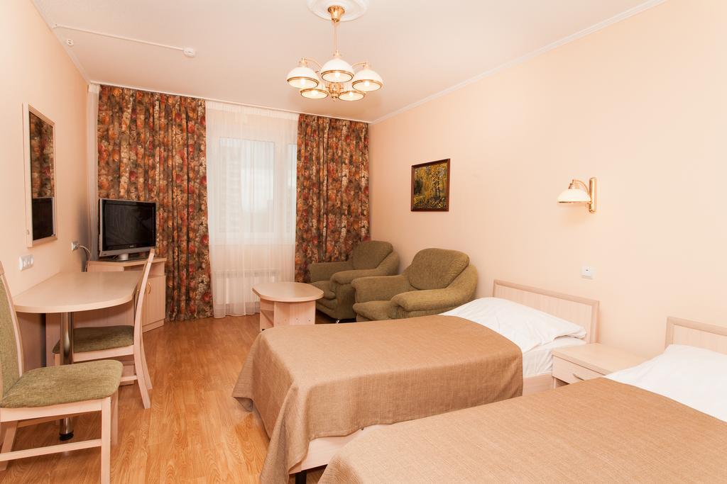 ヴラディキーノ アパート ホテル モスクワ 部屋 写真